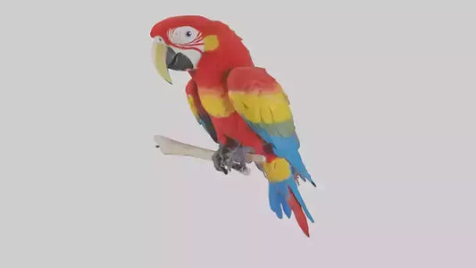 Scarlet Macaw perched model VR / AR / low-poly