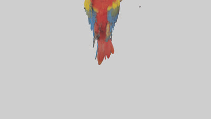 Scarlet Macaw perched model VR / AR / low-poly