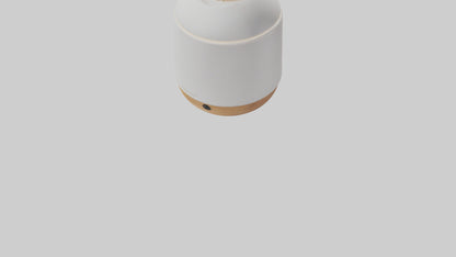 3D model Scent diffuser model VR / AR / low-poly