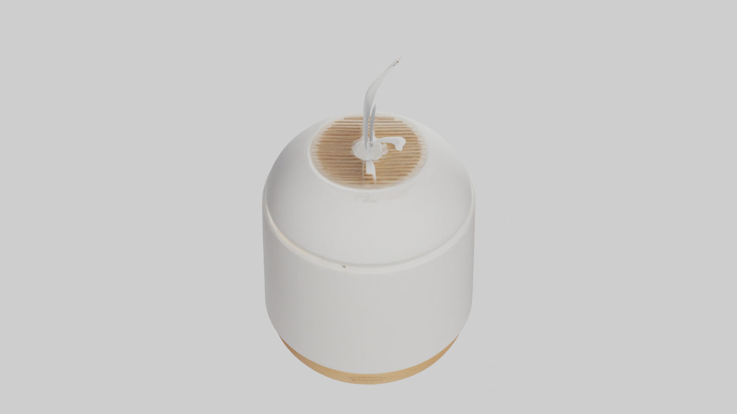 3D model Scent diffuser model VR / AR / low-poly