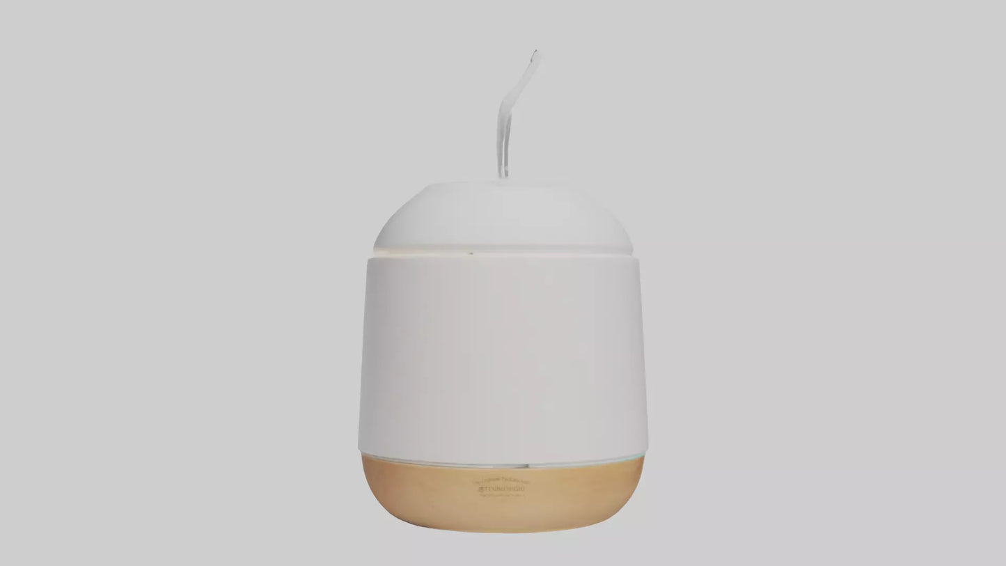 3D model Scent diffuser model VR / AR / low-poly