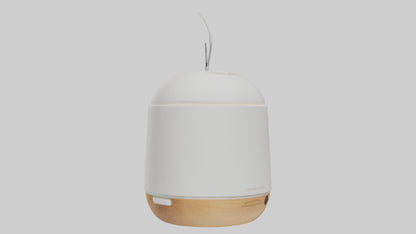 3D model Scent diffuser model VR / AR / low-poly
