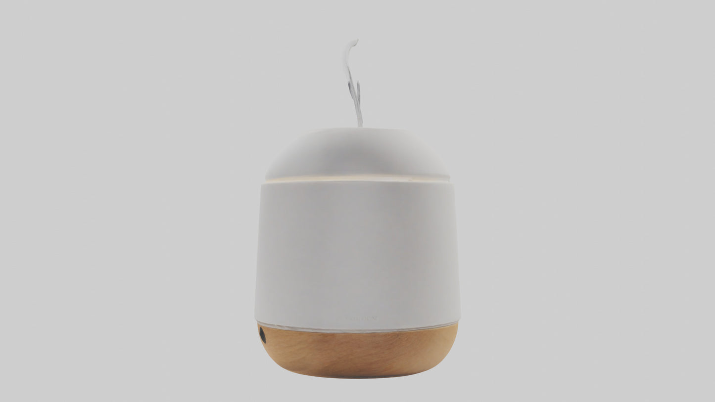 3D model Scent diffuser model VR / AR / low-poly