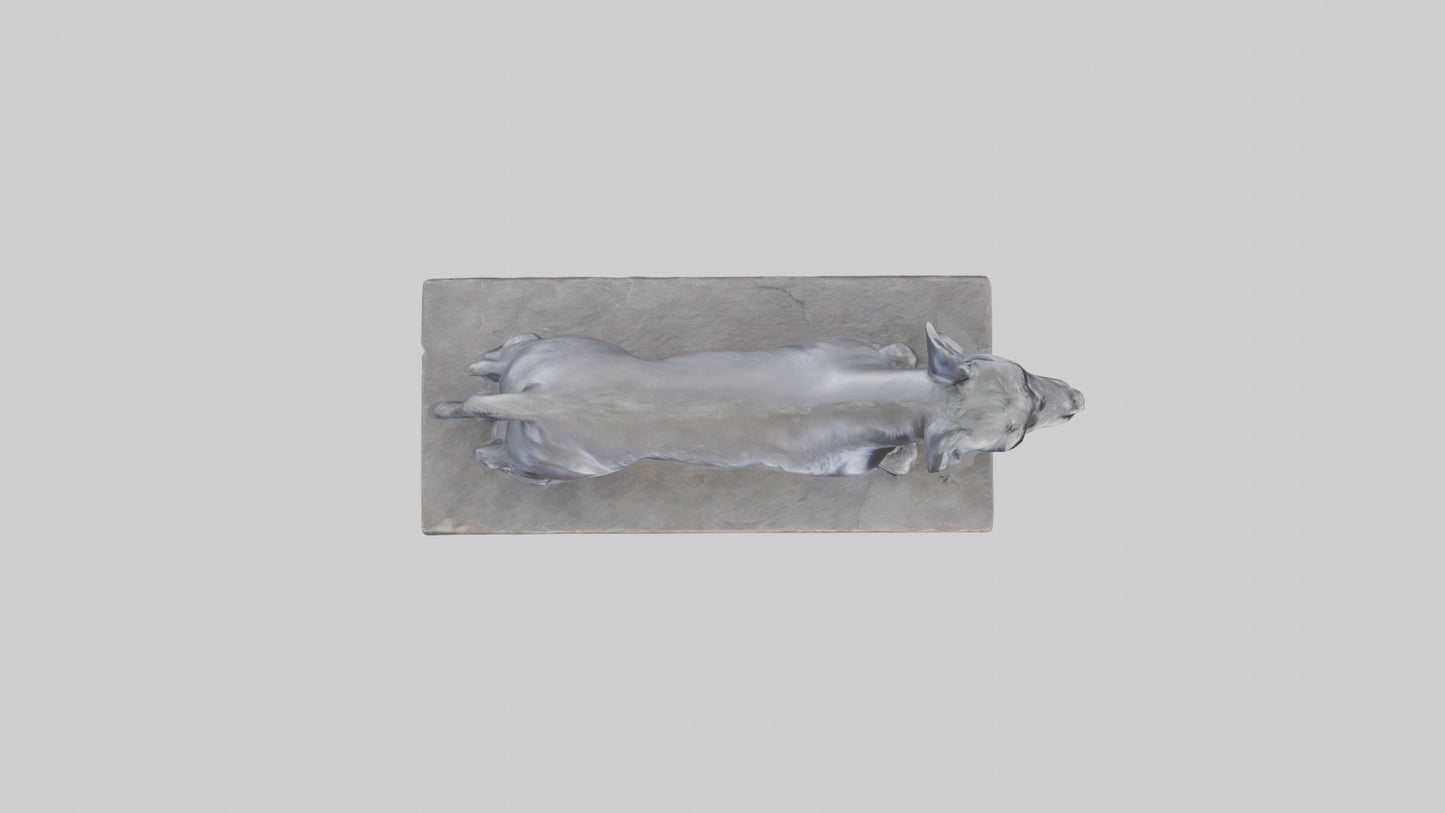 Schnauzer statue model VR / AR / low-poly