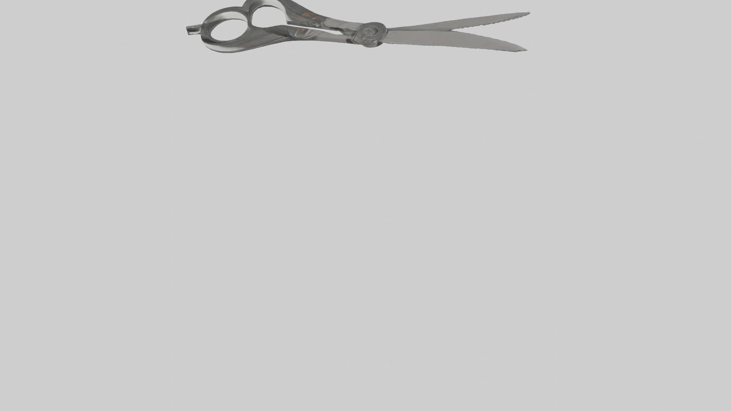 3D model Scissors model VR / AR / low-poly