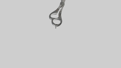 3D model Scissors model VR / AR / low-poly