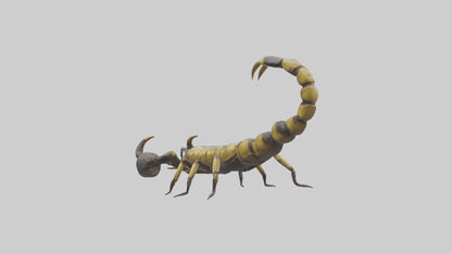 Scorpion standing alert model VR / AR / low-poly