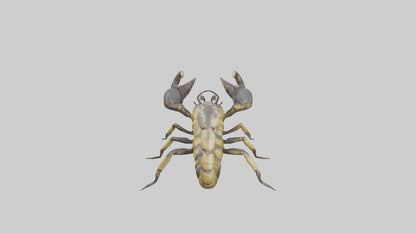 Scorpion standing alert model VR / AR / low-poly
