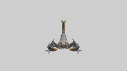 Scorpion standing alert model VR / AR / low-poly