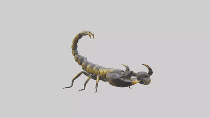 Scorpion standing alert model VR / AR / low-poly