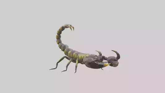 Scorpion standing alert model VR / AR / low-poly