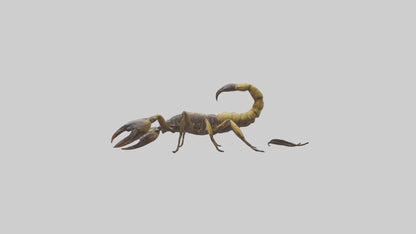Scorpion walking model 3D model