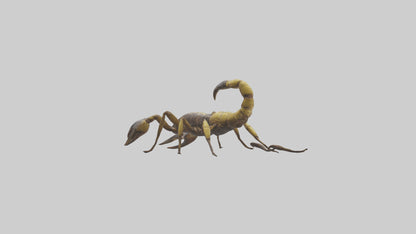 Scorpion walking model 3D model
