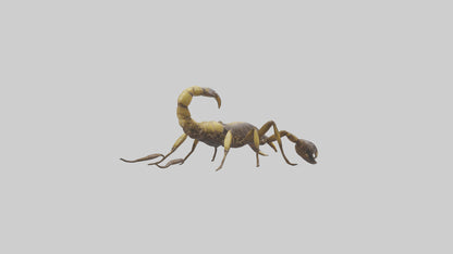 Scorpion walking model 3D model