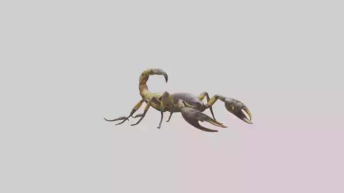 Scorpion walking model 3D model