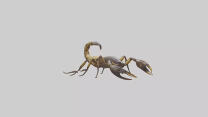 Scorpion walking model 3D model