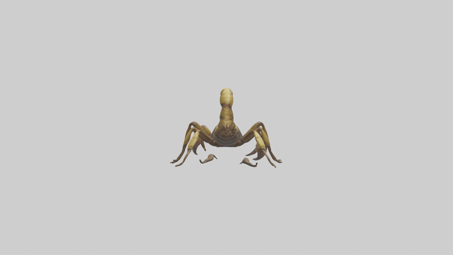 Scorpion walking model 3D model