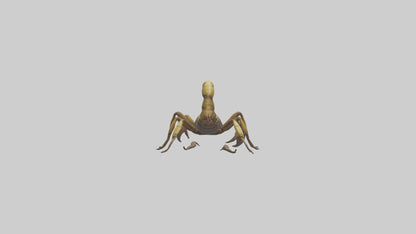 Scorpion walking model 3D model