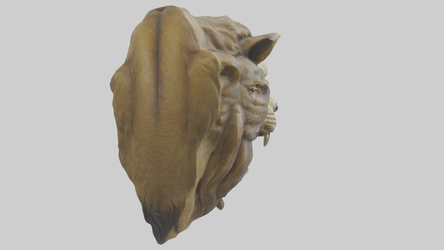 3D model Sculpted Lion head model VR / AR / low-poly