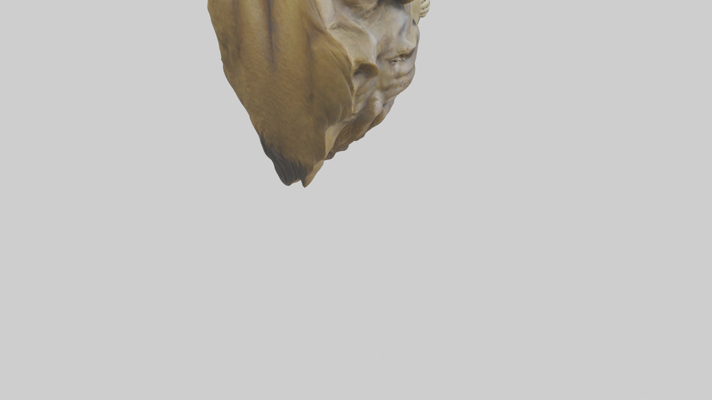 3D model Sculpted Lion head model VR / AR / low-poly