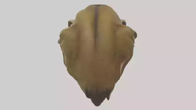 3D model Sculpted Lion head model VR / AR / low-poly