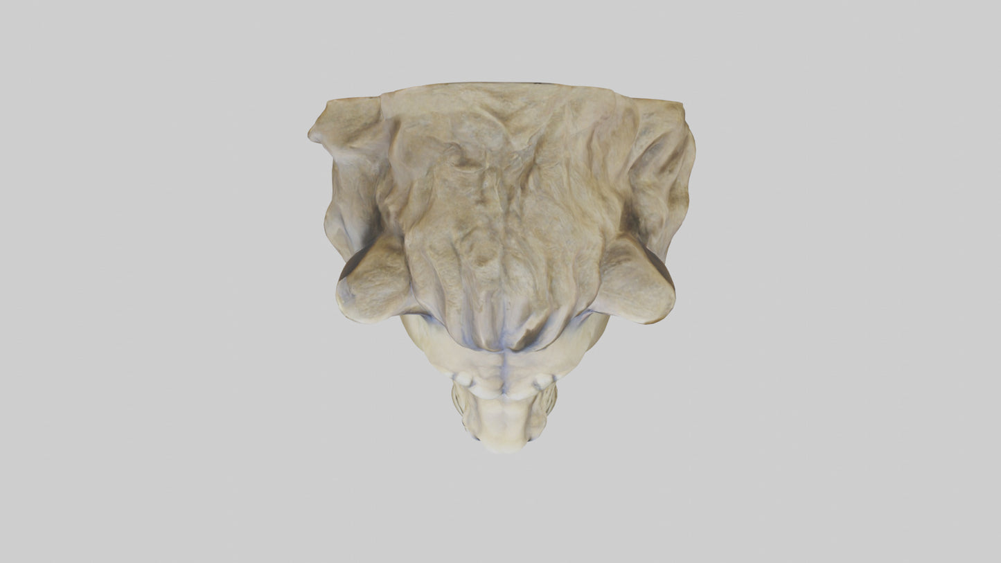 3D model Sculpted Lion head model VR / AR / low-poly