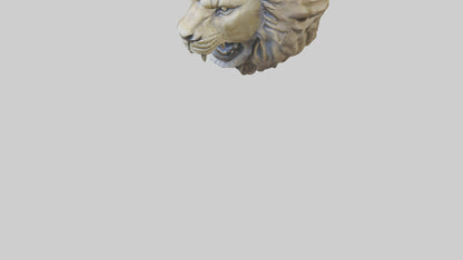 3D model Sculpted Lion head model VR / AR / low-poly
