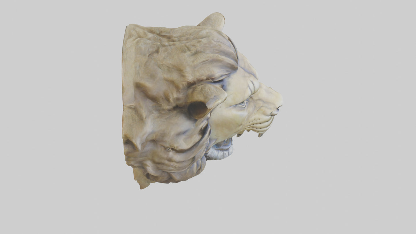 3D model Sculpted Lion head model VR / AR / low-poly