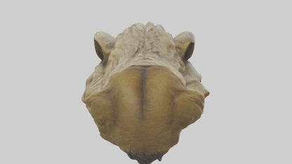 3D model Sculpted Lion head model VR / AR / low-poly