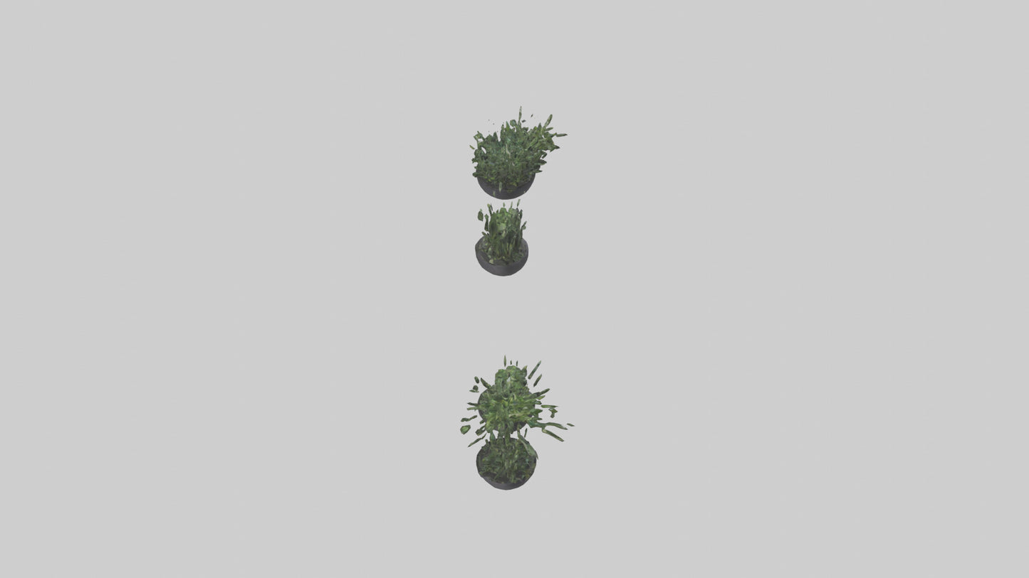 3D model Sculptural Wall Planters VR / AR / low-poly