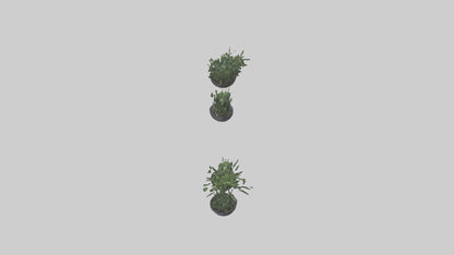 3D model Sculptural Wall Planters VR / AR / low-poly