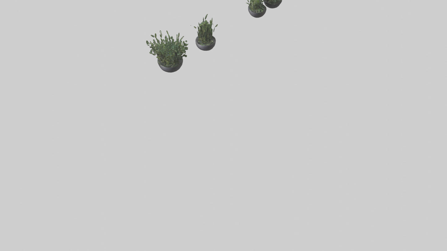 3D model Sculptural Wall Planters VR / AR / low-poly