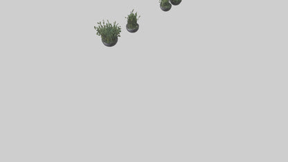 3D model Sculptural Wall Planters VR / AR / low-poly