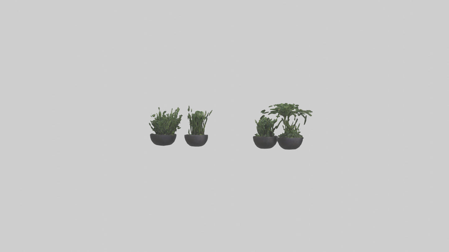 3D model Sculptural Wall Planters VR / AR / low-poly