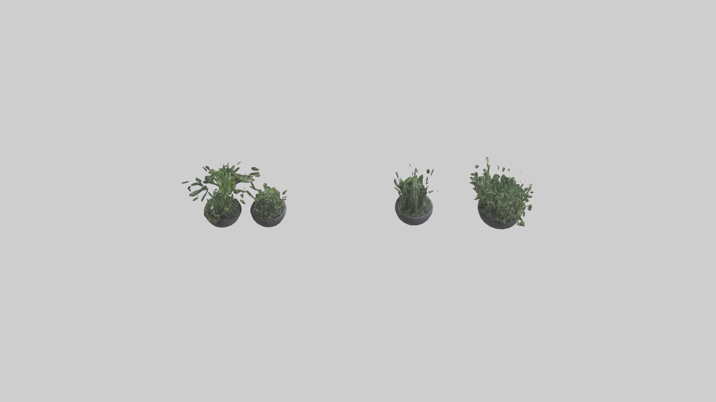 3D model Sculptural Wall Planters VR / AR / low-poly