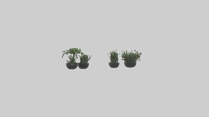 3D model Sculptural Wall Planters VR / AR / low-poly