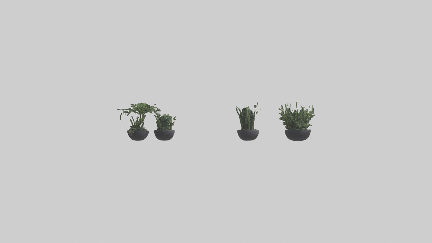 3D model Sculptural Wall Planters VR / AR / low-poly