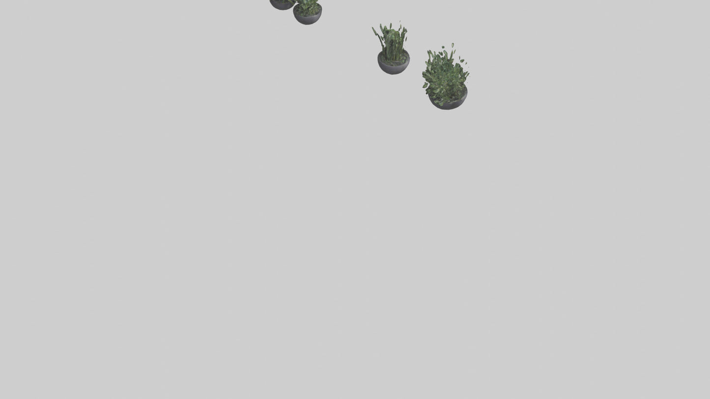 3D model Sculptural Wall Planters VR / AR / low-poly