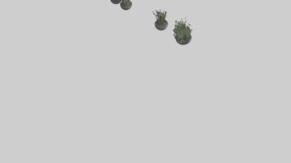3D model Sculptural Wall Planters VR / AR / low-poly
