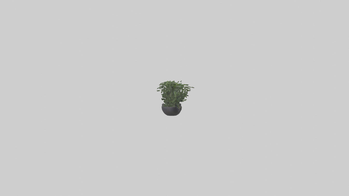 3D model Sculptural Wall Planters VR / AR / low-poly