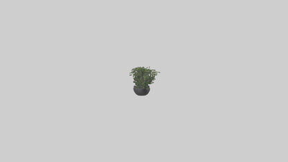 3D model Sculptural Wall Planters VR / AR / low-poly