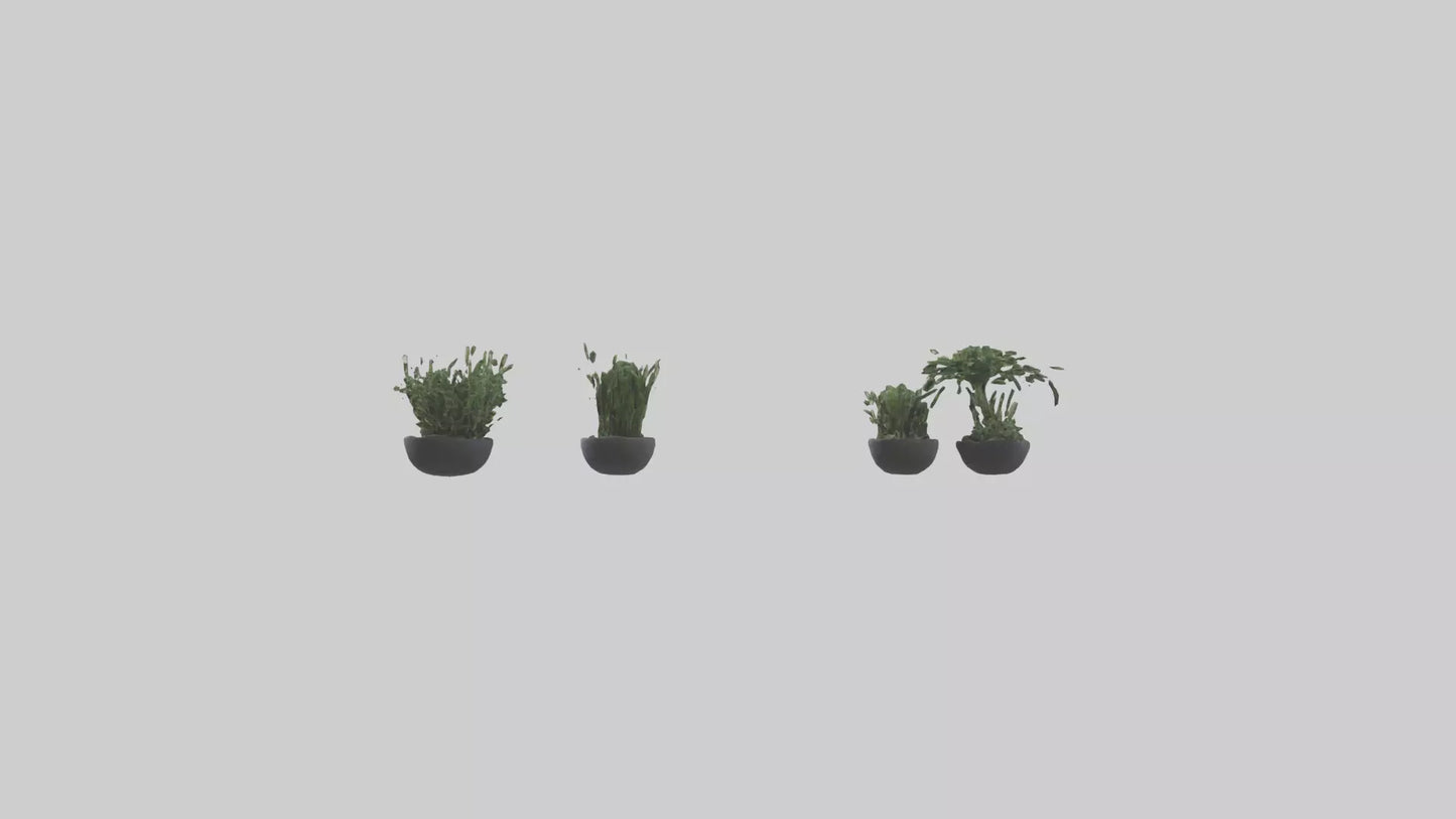3D model Sculptural Wall Planters VR / AR / low-poly