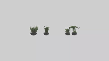 3D model Sculptural Wall Planters VR / AR / low-poly