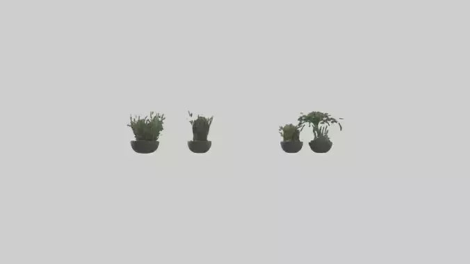 3D model Sculptural Wall Planters VR / AR / low-poly