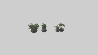 3D model Sculptural Wall Planters VR / AR / low-poly