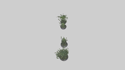 3D model Sculptural Wall Planters VR / AR / low-poly