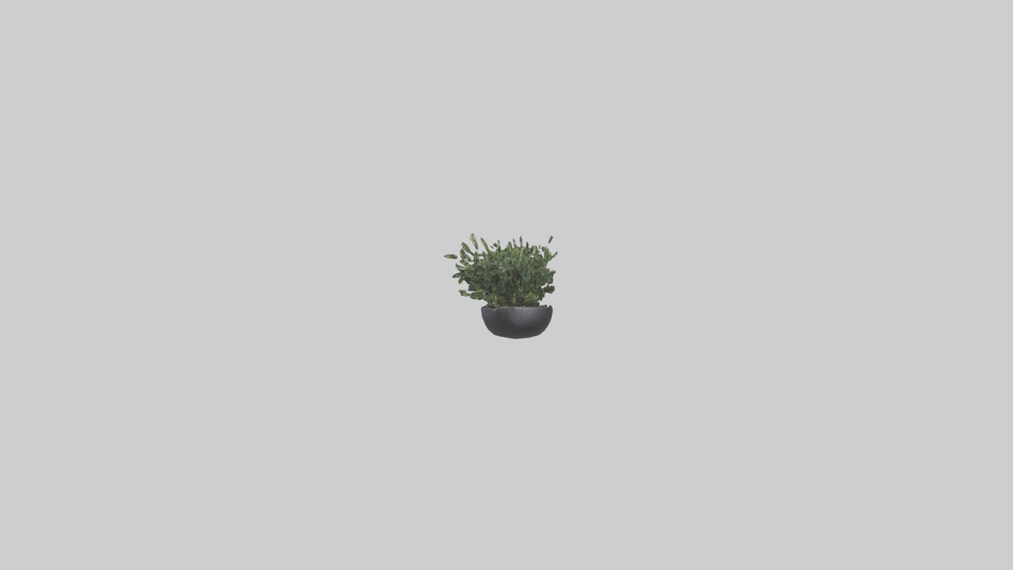 3D model Sculptural Wall Planters VR / AR / low-poly
