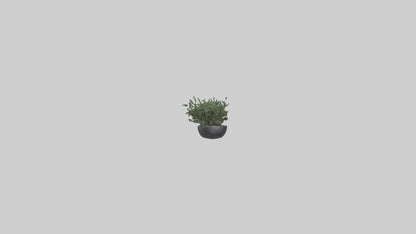 3D model Sculptural Wall Planters VR / AR / low-poly