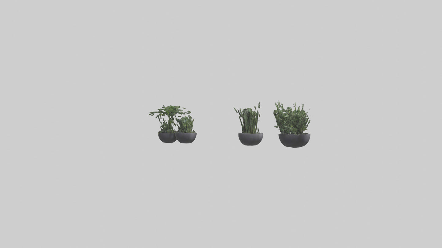 3D model Sculptural Wall Planters VR / AR / low-poly