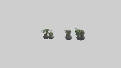 3D model Sculptural Wall Planters VR / AR / low-poly